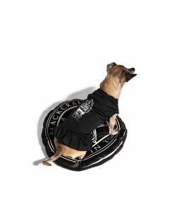 Blackcraft Cult Cauldron - Pet Dress