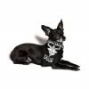 Blackcraft Cult Cuz Jesus Doesn't - Pet Bandana