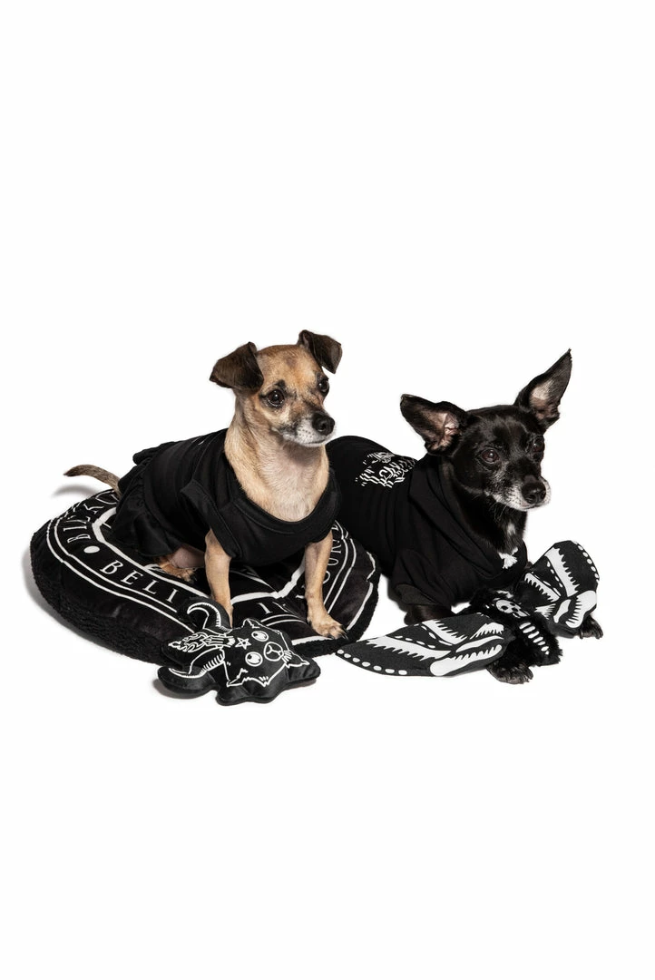 CMT Baphomet - Pet Toy 4 CMT Baphomet - Pet Toy