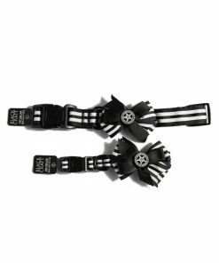 CMT Believe In Yourself - Dog Collar