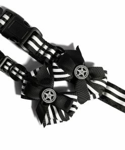 CMT Believe In Yourself - Dog Collar