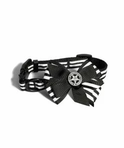 CMT Believe In Yourself - Dog Collar